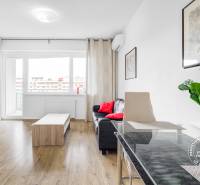 Obývací pokoj s pohovkou, stolkem a podlahou s dřevěným dekorem v 2pokojovém bytě.