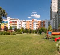 Dětské hřiště s prolézačkami, travnatá plocha a obytné budovy na ulici Bosákova.