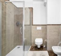 Koupelna s prostorným sprchovým koutem a umyvadlem v 2pokojovém bytě.