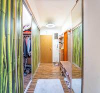 Chodba v 2-pokojovém bytě s podlahou s dřevěným dekorem a skříňkou na obuv.