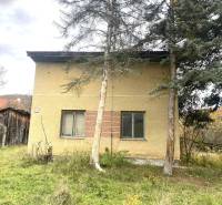 Rodinný dům v Rykynčicích, obklopený stromy se svažitým pozemkem a dřevěnou přístavbou.