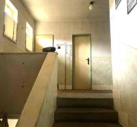 Jednoduché schodiště v rodinném domě s minimalistickým interiérem a světlými stěnami.