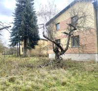 Rodinný dům v Rykynčicích, obklopený stromy a travnatou zahradou v podzimním období.