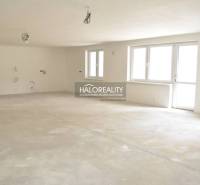 Prázdný interiér rodinného domu s neomítnutou podlahou a okny.