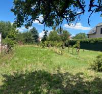 Zahrada s trávníkem a vinicí v Bratislavě - Podunajských Biskupicích, ideální pro pozemky - bydlení.