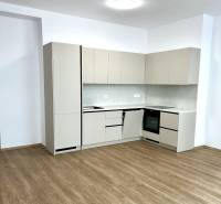 Kuchyně ve 4-pokojovém bytě s podlahou s dřevěným dekorem a světlou linkou.