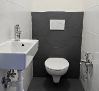 Koupelna s tmavou podlahou a sanitou v rodinném domě se sprchovou baterií.