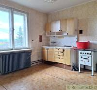 Kuchyně v rodinném domě s retro sporákem, podlahou s dřevěným dekorem a výhledem.