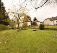 Zahrada u rodinného domu ve Skleném na ulici Sklené s ovocnými stromy.