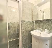 Koupelna s umyvadlem a sprchovým koutem v rodinném domě.