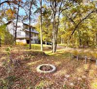 Chata v lese na ulici Gazárka v Šaštíně-Strážích obklopená podzimními stromy a listím.