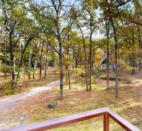 Lesní prostředí u chaty na Gazárce v Šaštíně-Strážích s podzimním listím a cestičkou.