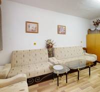 Obývací pokoj v chatě s gaučem, skříní, konferenčním stolkem a podlahou s dřevěným dekorem.