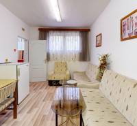 Pokoj v chatě s podlahou s dřevěným dekorem, gaučem a křeslem.