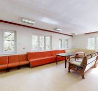 Světlý obývací pokoj s pohovkami a stolky, velká okna, výhled na les.