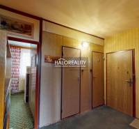 Vstupní chodba v 3-pokojovém bytě s dřevěnou dekorací a vzorovaným kobercem.