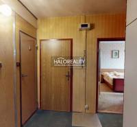 V 3-pokojovém bytě se nachází předsíň s dveřmi s dřevodekorem a průsvitným sklem.