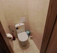 Koupelnové obchodní prostory s dlažbou, toaletou a příslušenstvím.