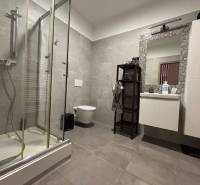 Koupelna dvoupokojového bytu s moderním sprchovým koutem a prostorem pro hygienické potřeby.