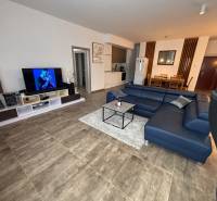 Obývací pokoj v 2-pokojovém bytě s tmavou sedačkou a televizorem, podlaha s dřevěným dekorem.