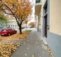 Podzimní ulice Drevny trh v Košicích, Staré Město, lemovaná stromy s padajícím listím.