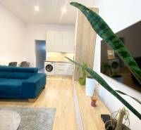 Interiérová fotografie 2-pokojového bytu s podlahou s dřevěným dekorem, modrou sedačkou a rostlinami.