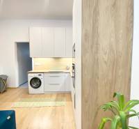 Moderní kuchyně v 2-pokojovém bytě s podlahou s dřevěným dekorem a rostlinou.