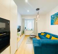 Obývací pokoj s modrou pohovkou, barevným obrazem a podlahou s dřevěným dekorem v 2pokojovém bytě.