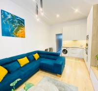 Obývací pokoj dvoupokojového bytu s modrou sedačkou a podlahou s dřevěným dekorem.