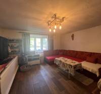 Obývací pokoj a chata s tradičním nábytkem, pohovkou a dřevěnou podlahou pro relaxaci.