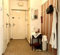 Vstupní chodba v 3-pokojovém bytě se stěnovým věšákem a zrcadlem.