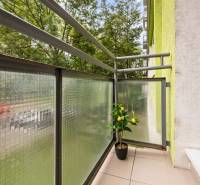 Ružinov_1 izbový byt s balkónom na prenájom_Exnarova