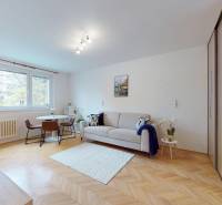 Obývací pokoj v jednopokojovém bytě s podlahou s dřevěným dekorem, pohovkou a jídelním stolem.