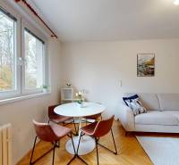 Obývací pokoj v garsonce s oknem, podlahou s dřevěným dekorem a útulným zařízením.