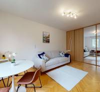 Obývací pokoj s gaučem, jídelním stolem a zrcadlovou skříní, 1-pokojový byt.