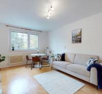 Obývací pokoj jednopokojového bytu s podlahou s dřevěným dekorem, světlou pohovkou a kulatým stolem.