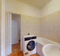 Koupelna se sprchovým koutem, umyvadlem a pračkou, v 1-pokojovém bytě.