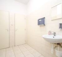 Kancelář s umyvadlem, dávkovači a zrcadlem. Obklady bílé, podlaha světlá.