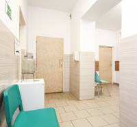 Čekárna v kancelářích s tyrkysovými židlemi a světlými stěnami.