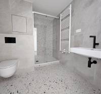 Koupelna s toaletou, sprchovým koutem a radiátorem v 1-pokojovém bytě.