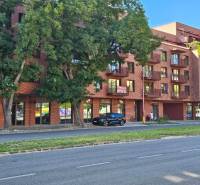 Bytový dům na Košické ulici v Bratislavě-Ružinově zastřešený hustými stromy.