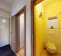 Vstupní chodba a toaleta v 2pokojovém bytě s podlahou s dřevěným dekorem.