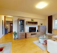 Obývací pokoj v dvoupokojovém bytě s podlahou s dřevěným dekorem a pohodlným nábytkem.