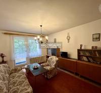 Obývací pokoj se starožitným nábytkem, pohovkou a lustry ve 4pokojovém bytě.