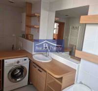 Koupelna v 2-pokojovém bytě s pračkou, umyvadlem a vanou, vybavená dřevěným dekorem.