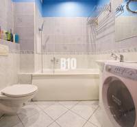 Koupelna v 2-pokojovém bytě se sprchovým koutem, umyvadlem a pračkou.