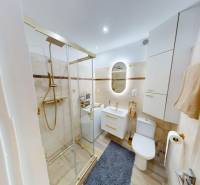Koupelna se sprchovým koutem, toaletou a umyvadlem v 1-pokojovém bytě.