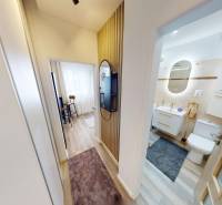 Chodba v 1-pokojovém bytě s podlahou s dřevěným dekorem, koupelna a pracovní koutek.