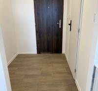 Interiér garsonky se vstupními dveřmi a podlahou s dřevěným dekorem.