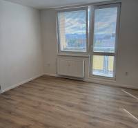 Garsonka s podlahou s dřevěným dekorem a velkým oknem, poskytujícím výhled do okolí.